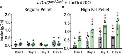 Severe Hyperprolactinemia Promotes Brown Adipose Tissue Whitening and Aggravates High Fat Diet Induced Metabolic Imbalance